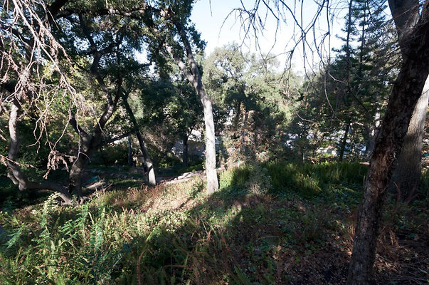 10278 grounds 7