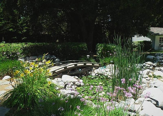 4324 pond 1