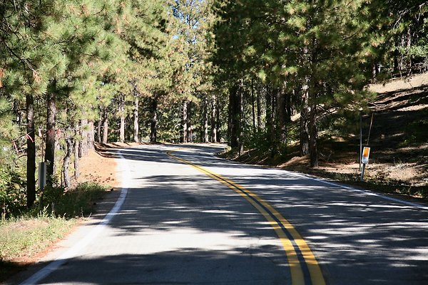 Jenks Lake Rd. Angelus Oaks  - 7 of 58