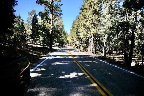 Jenks Lake Rd. Angelus Oaks  - 15 of 58