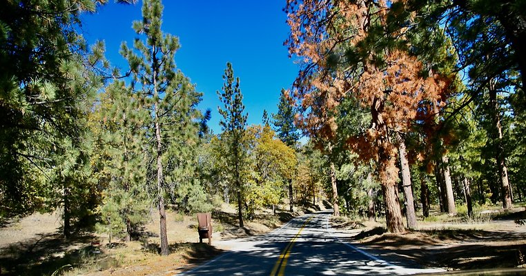 Jenks Lake Rd. Angelus Oaks  - 55 of 58