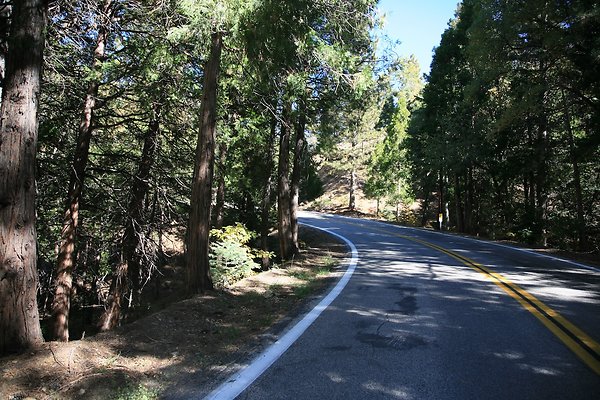Jenks Lake Rd. Angelus Oaks  - 44 of 58