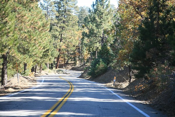 Jenks Lake Rd. Angelus Oaks  - 49 of 58