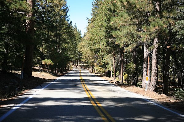 Jenks Lake Rd. Angelus Oaks  - 13 of 58