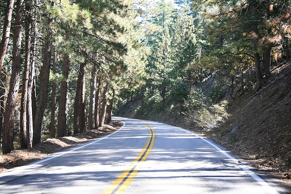Jenks Lake Rd. Angelus Oaks  - 17 of 58