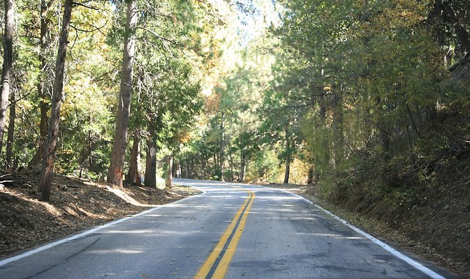 Jenks Lake Rd. Angelus Oaks  - 39 of 58