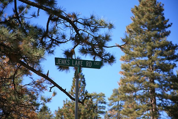 Jenks Lake Rd. Angelus Oaks  - 57 of 58