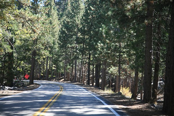 Jenks Lake Rd. Angelus Oaks  - 37 of 58