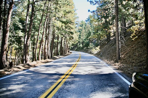 Jenks Lake Rd. Angelus Oaks  - 16 of 58