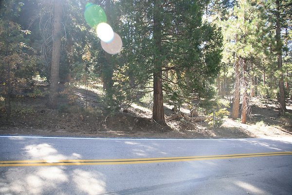 Jenks Lake Rd. Angelus Oaks  - 27 of 58