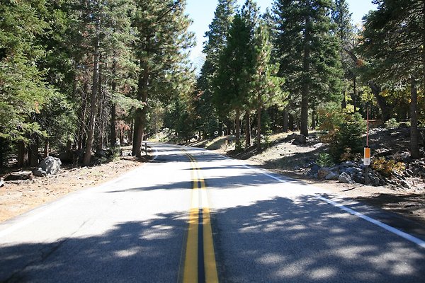 Jenks Lake Rd. Angelus Oaks  - 32 of 58