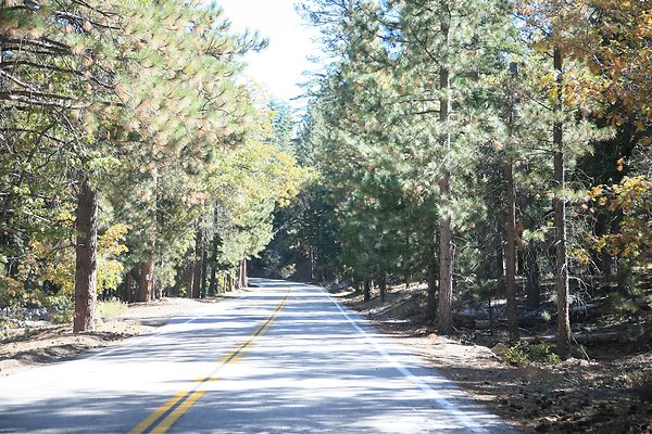Jenks Lake Rd. Angelus Oaks  - 12 of 58