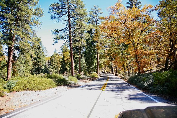 Jenks Lake Rd. Angelus Oaks  - 52 of 58