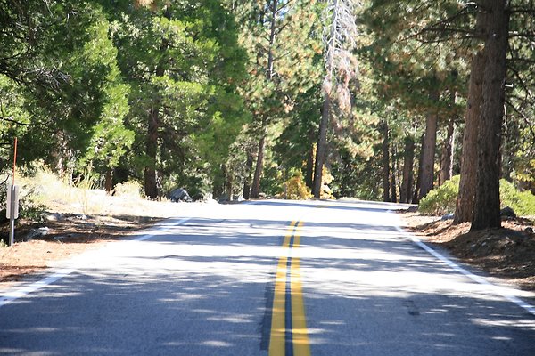 Jenks Lake Rd. Angelus Oaks  - 34 of 58