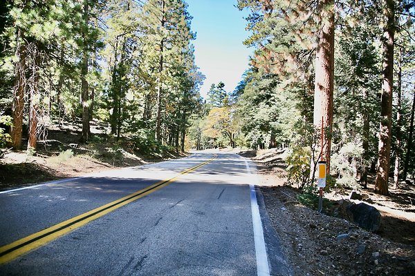 Jenks Lake Rd. Angelus Oaks  - 21 of 58
