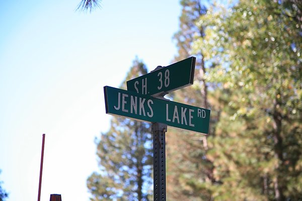 Jenks Lake Rd. Angelus Oaks  - 1 of 58