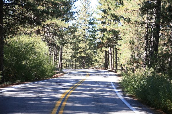 Jenks Lake Rd. Angelus Oaks  - 11 of 58