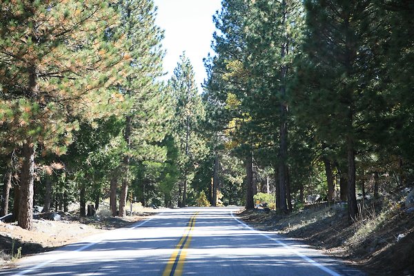Jenks Lake Rd. Angelus Oaks  - 33 of 58