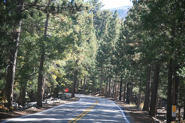 Jenks Lake Rd. Angelus Oaks  - 36 of 58