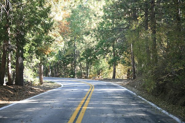 Jenks Lake Rd. Angelus Oaks  - 40 of 58