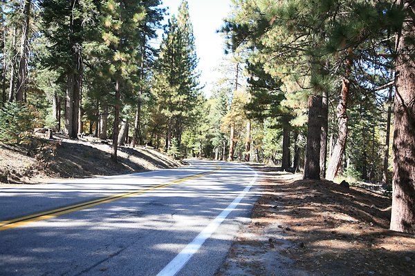 Jenks Lake Rd. Angelus Oaks  - 30 of 58