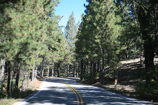 Jenks Lake Rd. Angelus Oaks  - 5 of 58