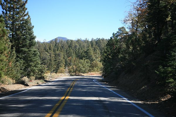 Jenks Lake Rd. Angelus Oaks  - 48 of 58