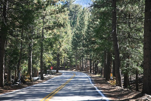 Jenks Lake Rd. Angelus Oaks  - 35 of 58