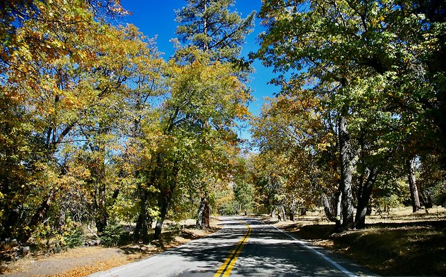 Jenks Lake Rd. Angelus Oaks  - 54 of 58