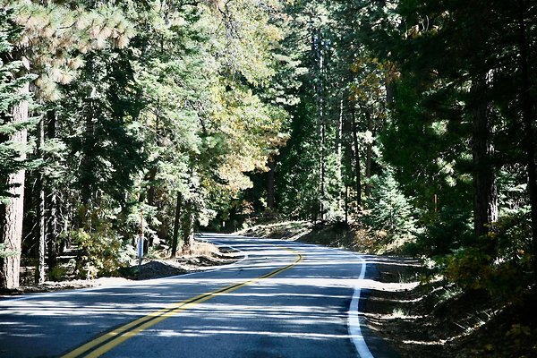 Jenks Lake Rd. Angelus Oaks  - 18 of 58