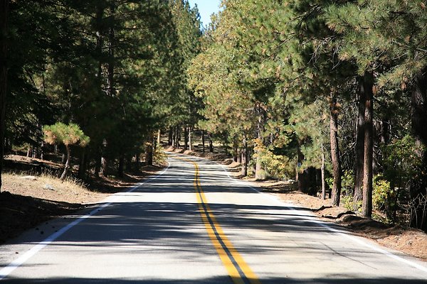 Jenks Lake Rd. Angelus Oaks  - 14 of 58