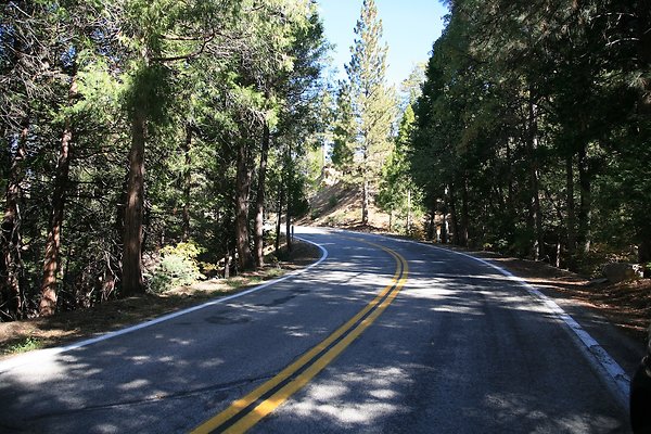 Jenks Lake Rd. Angelus Oaks  - 43 of 58