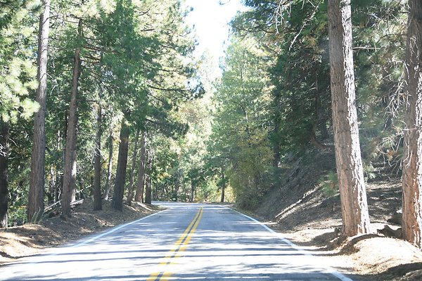Jenks Lake Rd. Angelus Oaks  - 38 of 58