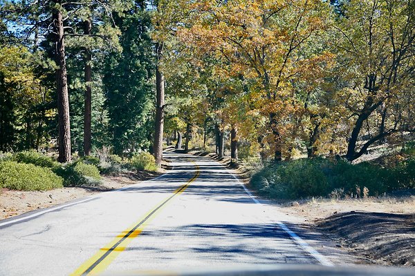 Jenks Lake Rd. Angelus Oaks  - 51 of 58