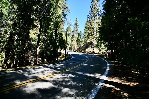 Jenks Lake Rd. Angelus Oaks  - 45 of 58
