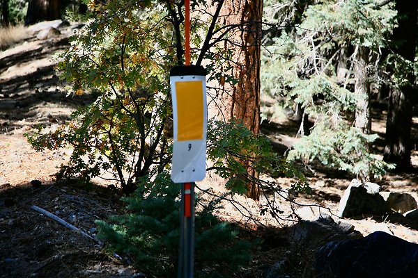 Jenks Lake Rd. Angelus Oaks  - 19 of 58