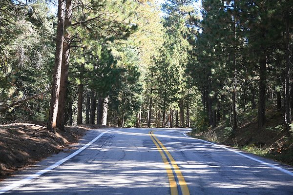 Jenks Lake Rd. Angelus Oaks  - 8 of 58