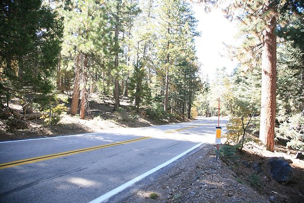 Jenks Lake Rd. Angelus Oaks  - 28 of 58