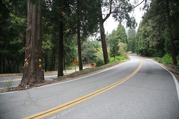 North Rd from Grandview to Lake Gregory Dr.  - 42 of 92