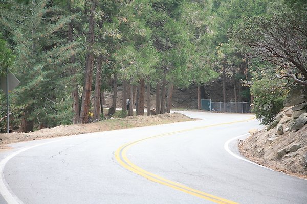 North Rd from Grandview to Lake Gregory Dr.  - 86 of 92