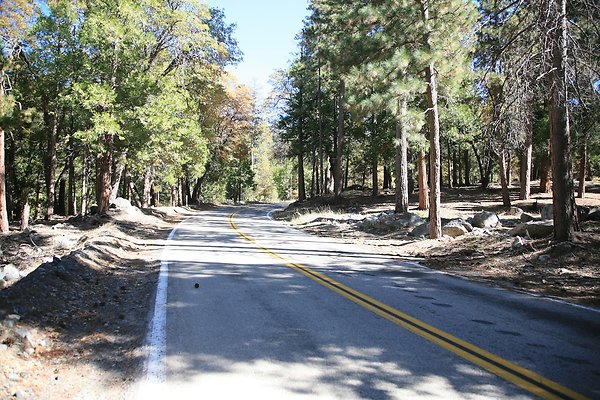 Glass Rd, Angelus Oaks  - 18 of 29