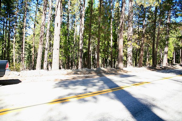 Glass Rd, Angelus Oaks  - 27 of 29