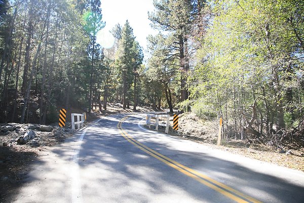 Glass Rd, Angelus Oaks  - 5 of 29