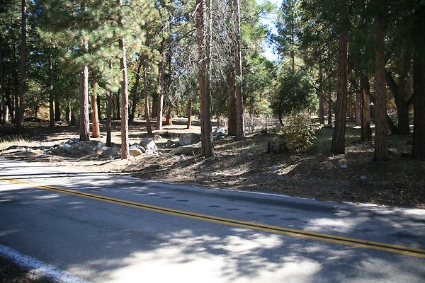 Glass Rd, Angelus Oaks  - 19 of 29