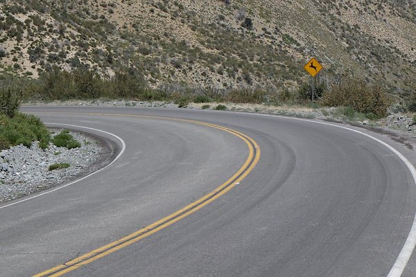 lone-pine cyn-rd 026