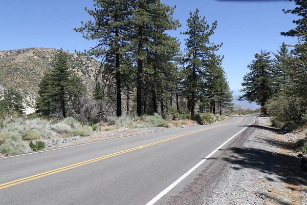 lone-pine cyn-rd 012