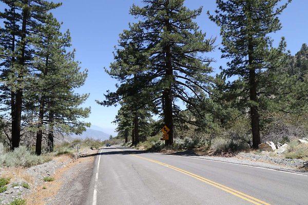 lone-pine cyn-rd 016