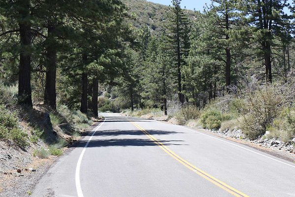 lone-pine cyn-rd 023