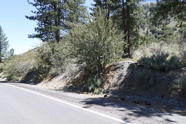 lone-pine cyn-rd 015