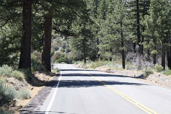 lone-pine cyn-rd 037